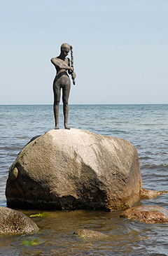 Stehender Hengst